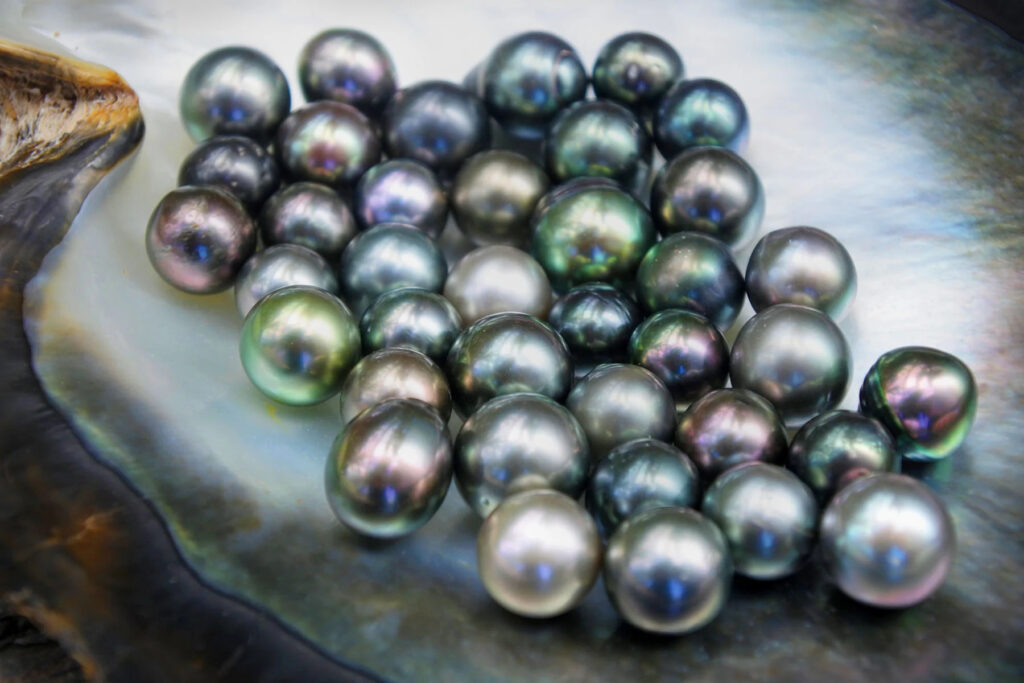 Tahitian Black Pearl